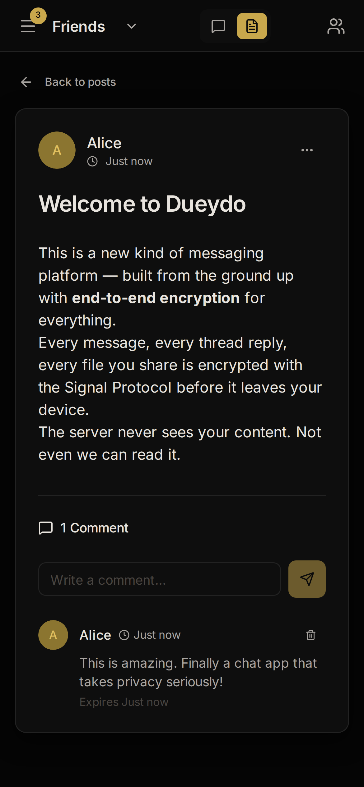 Dueydo post detail in dark mode